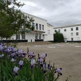 МКОУ "Левашинская гимназия" 👩🏻🏫👨🏼🏫