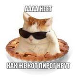 Вот такие коты пироги