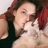 Сирень и лес и артдирекшн