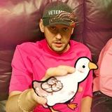 римский гусь 🪿