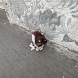 рафаэльевна