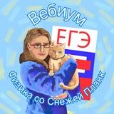 Физика с Планк | ЕГЭ 2026 | Вебиум