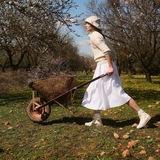 Сердечно Джулс