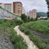 Снеговая Падь: новости
