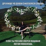 ne_bidlo