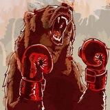 BadBearTeam