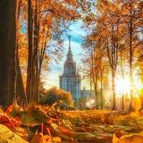 Московский роман