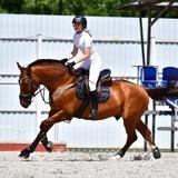 Конный блог 🐴💕| horse blog