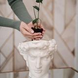 Психологическая грамотность