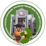 Браславская гимназия имени И.Н.Волчкова 🏫