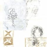 viiamira