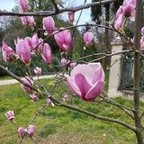 Байки о текстах и не только