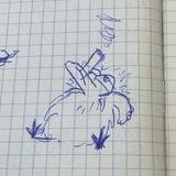 ΠΌΠΎΠΊΠΊΠΎ