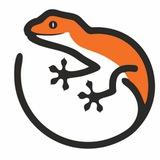 Походы в Сочи