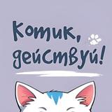 Котик, действуй!