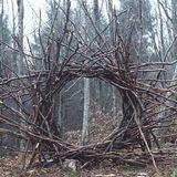 ересь феди смурь