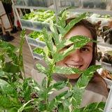 Максимально цветочно