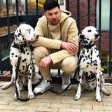 У ИЛЮШИ