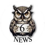 6NEWS