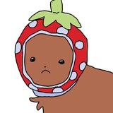🥐 seripu