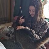 Стихи и деградация.