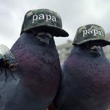 хаски фан