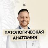 Патологическая анатомия | Sechenov Universkill