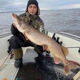 Рыбалка на Рыбинском водохранилище (Брейтово)